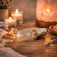 Globe CLEAR 25w (220v - 240v)