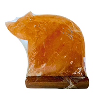 Himalayan Salt Lamp POLAR BEAR With Wood Base & Globe