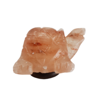 Himalayan Salt Lamp TURTLE With Wood Base