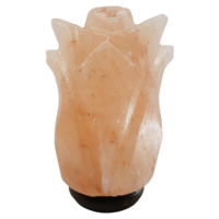 Himalayan Salt Lamp TULIP With Wood Base