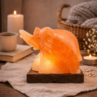 Himalayan Salt Lamp ELEPHANT With Wooden Base