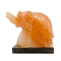 Himalayan Salt Lamp ELEPHANT With Wood Base