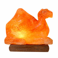 12V Himalayan Salt Lamp CAMEL Low Voltage