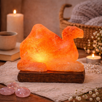 Himalayan Salt Lamp CAMEL With Wood Base