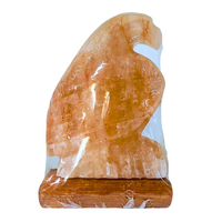 Himalayan Salt Lamp EAGLE With Wood Base