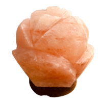 Himalayan Salt Lamp ROSE with Wood Base