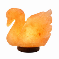 24V Himalayan Salt Lamp SWAN 24V Low Voltage