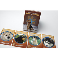 Paws to Reflect Dog Guidance Cards - Display Box of 5 Packs
