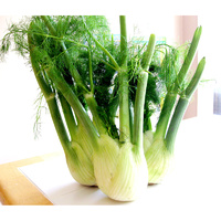 100% Pure Essential Oil - Fennel Seed