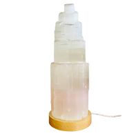 Natural Selenite Lamp 20-25cm - With Cord and Globe