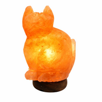 Himalayan Salt Lamp CAT Low Voltage