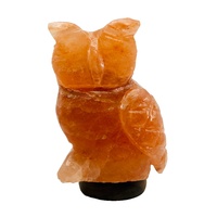 Himalayan Salt Lamp MR HOOTY OWL with Wood Base