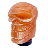 Himalayan Salt Lamp SKULL HEAD with cord and globe