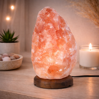 Himalayan Salt ORNAMENT 4-5KG Wooden Base