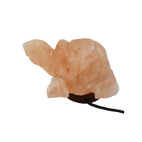 Himalayan Salt Lamp USB TURTLE