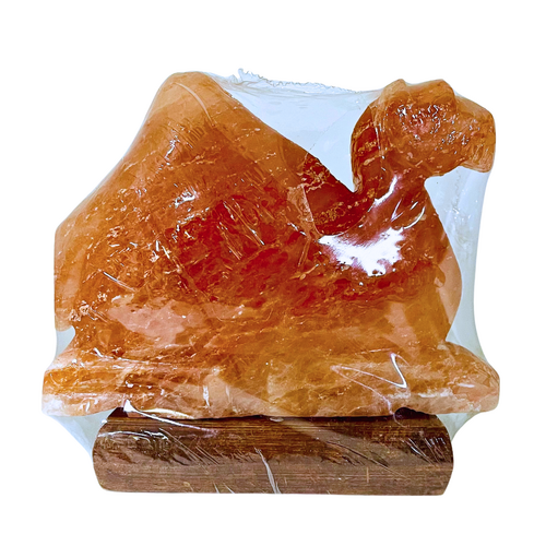 Himalayan Salt Lamp CAMEL With Wood Base