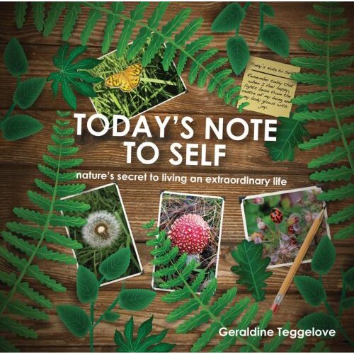 TODAY'S NOTE TO SELF Book By Geraldine Teggelove