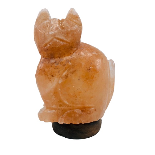 Himalayan Salt Lamp CAT with wooden base