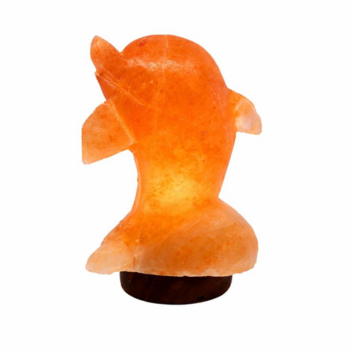 24V Himalayan Salt Lamp DOLPHIN Low Voltage