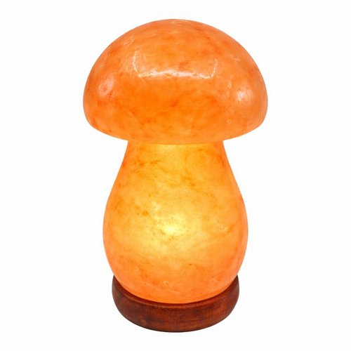 24V Himalayan Salt Lamp MUSHROOM Low Voltage