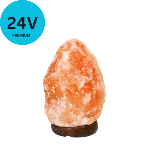 (24V) Himalayan Salt Lamp 2-3KG NATURAL Wood Base