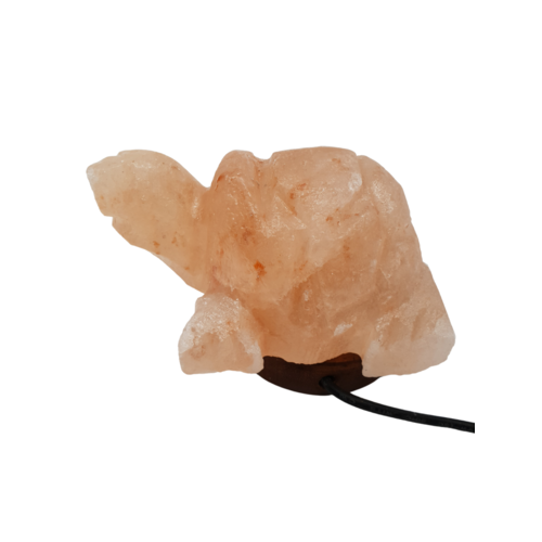 Himalayan Salt Lamp USB TURTLE